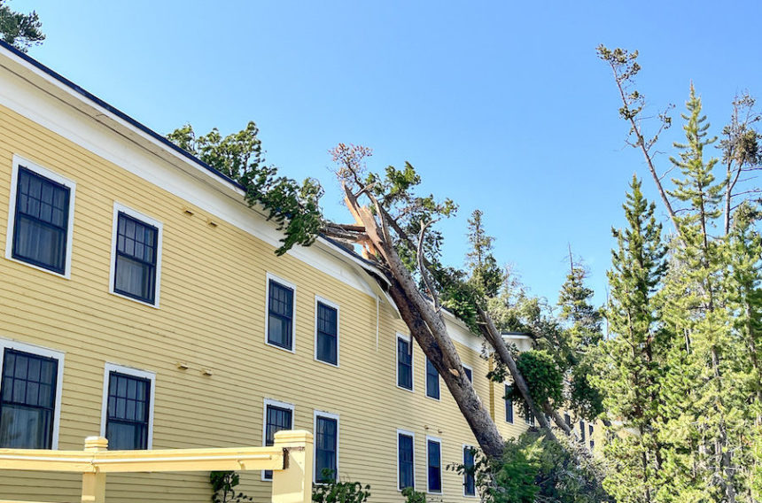 Yellowstone wind storm e1688580621559
