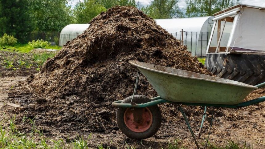 manure cnn