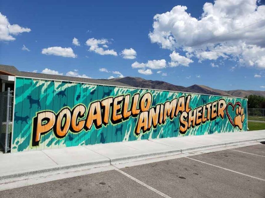 pocy animal shelter pic