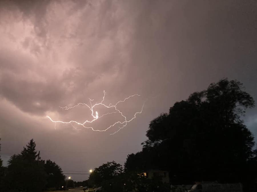 George Janet Giannini