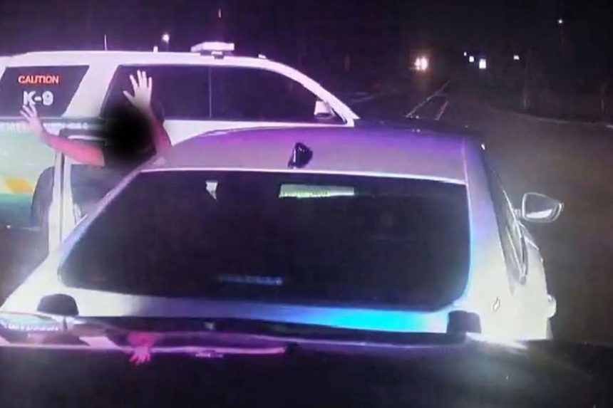 children get out of stolen car