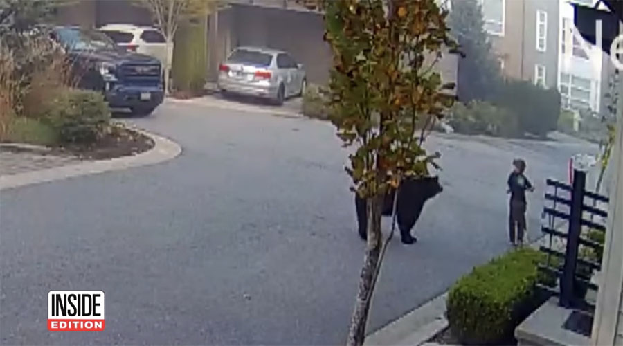 You have to see this! Bear comes face-to-face with 7-year-old boy riding his scooter