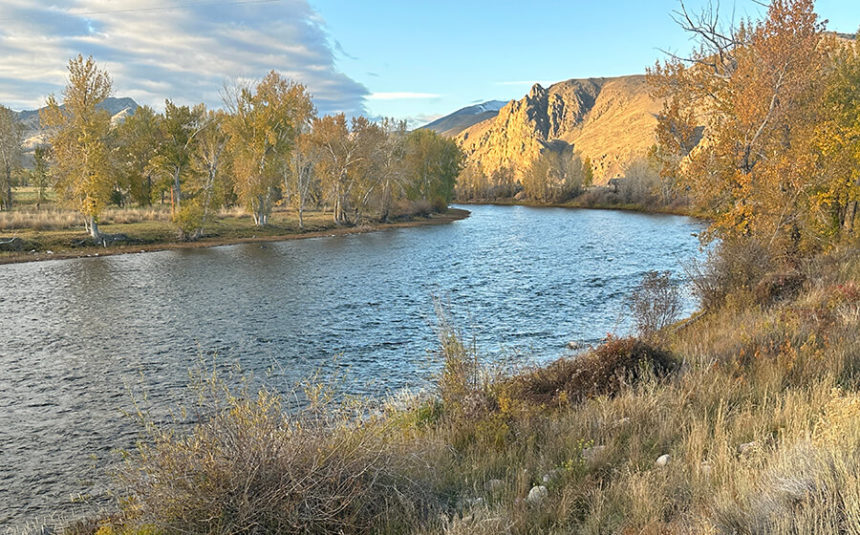 Salmon River - Challis