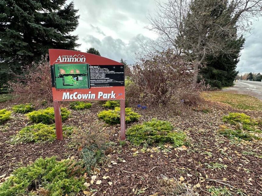 396335375 6721968091192476 237142333603052867 n