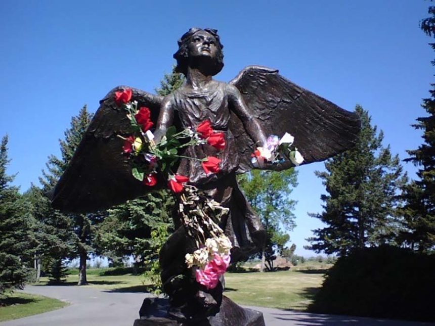 Christmas Box Angel in Idaho Falls