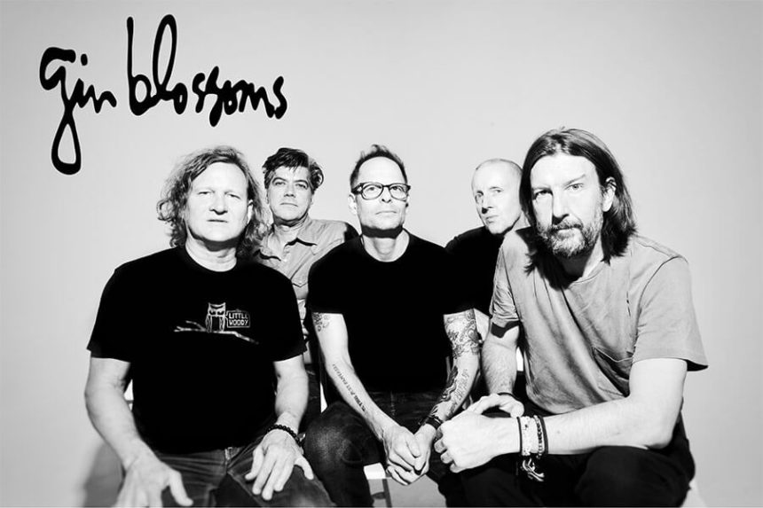 Gin Blossoms
