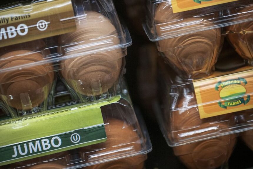 cnn L19jb21wb25lbnRzL2ltYWdlL2luc3RhbmNlcy9jbHI5Z21jOWIwMDIxMzU2aDd0MnFjd3Jn L19jb21wb25lbnRzL2FydGljbGUvaW5zdGFuY2VzL2NscjljdGtudDAwMHA0NXA0ZWFjYWhueWE