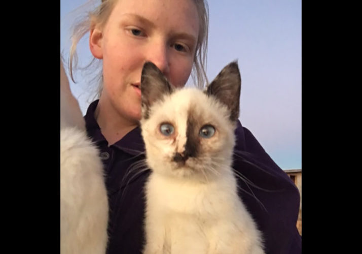 It’s been over a year and the search for a missing FLDS teen is still