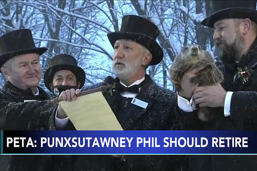 PETA says this inanimate object could replace Punxsutawney Phil