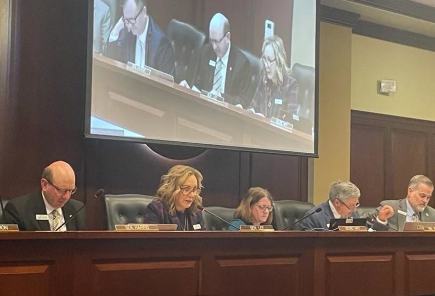 Sen. Abby Lee, R-Fruitland, introduced two bills on the foster care system on Feb. 28, 2024. (Ruth Brown/Idaho Reports)