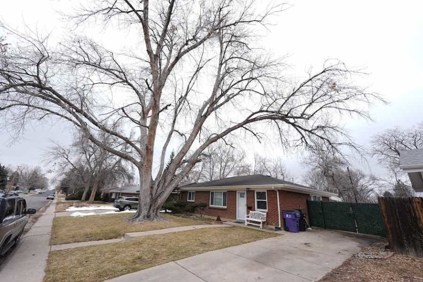 Funeral Home Owner Cremains Found