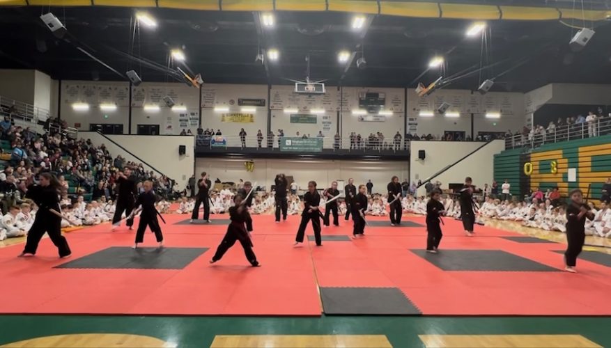 Local martial arts studio to host “Battle at the Falls” taekwondo tournament East Idaho News
