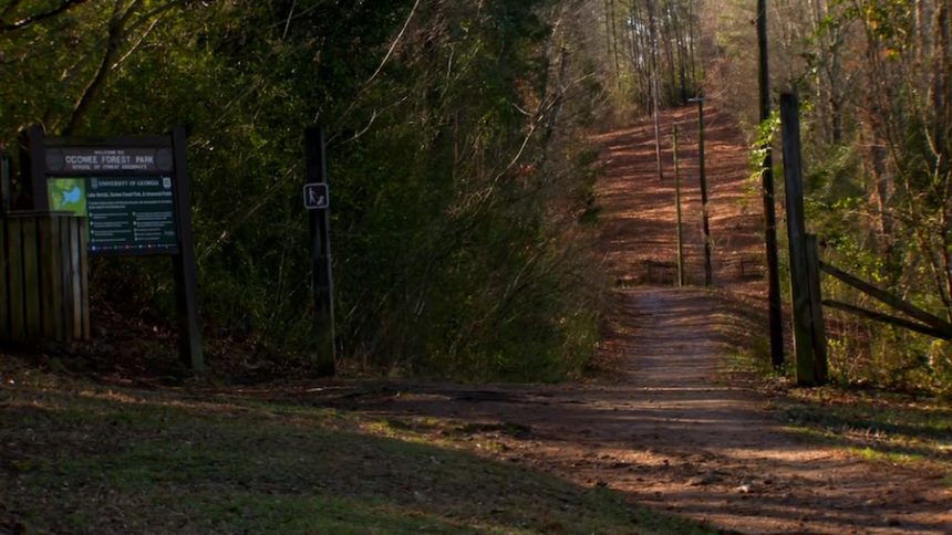 still20408361277706333still