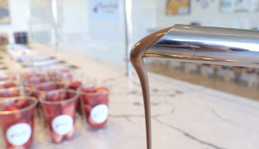 Chocolate Plunge offers fruit, ice cream bars, cheesecake and more drenched in creamy chocolate