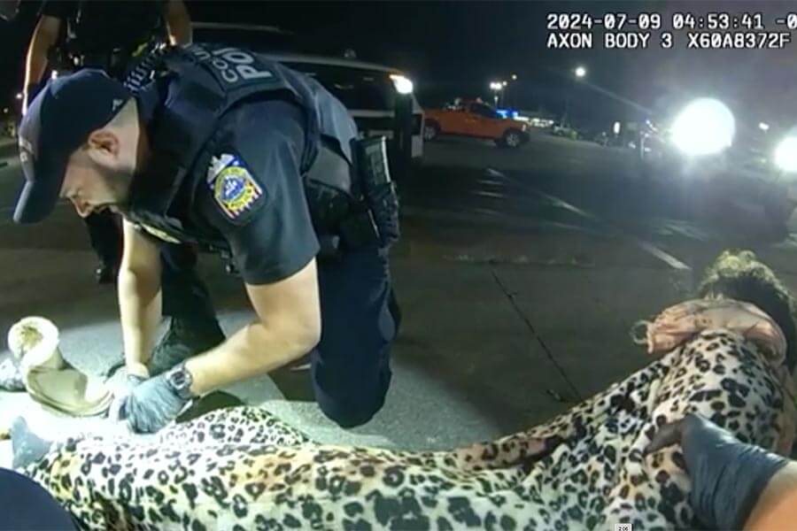 WATCH: Man in leopard-print onesie caught with hamsters in pants after break-ins