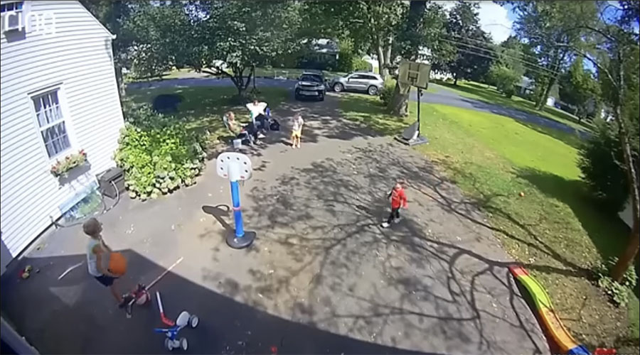 You have to see this! Bear shows up on family’s front lawn while kids are playing outside