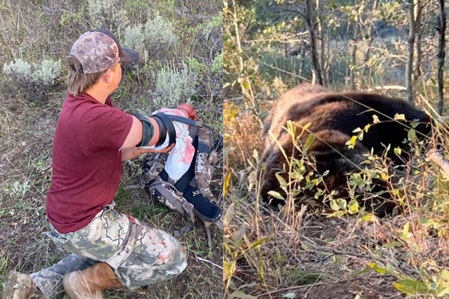Two hunters who shot 530-pound grizzly 24 times share their stunning story of survival