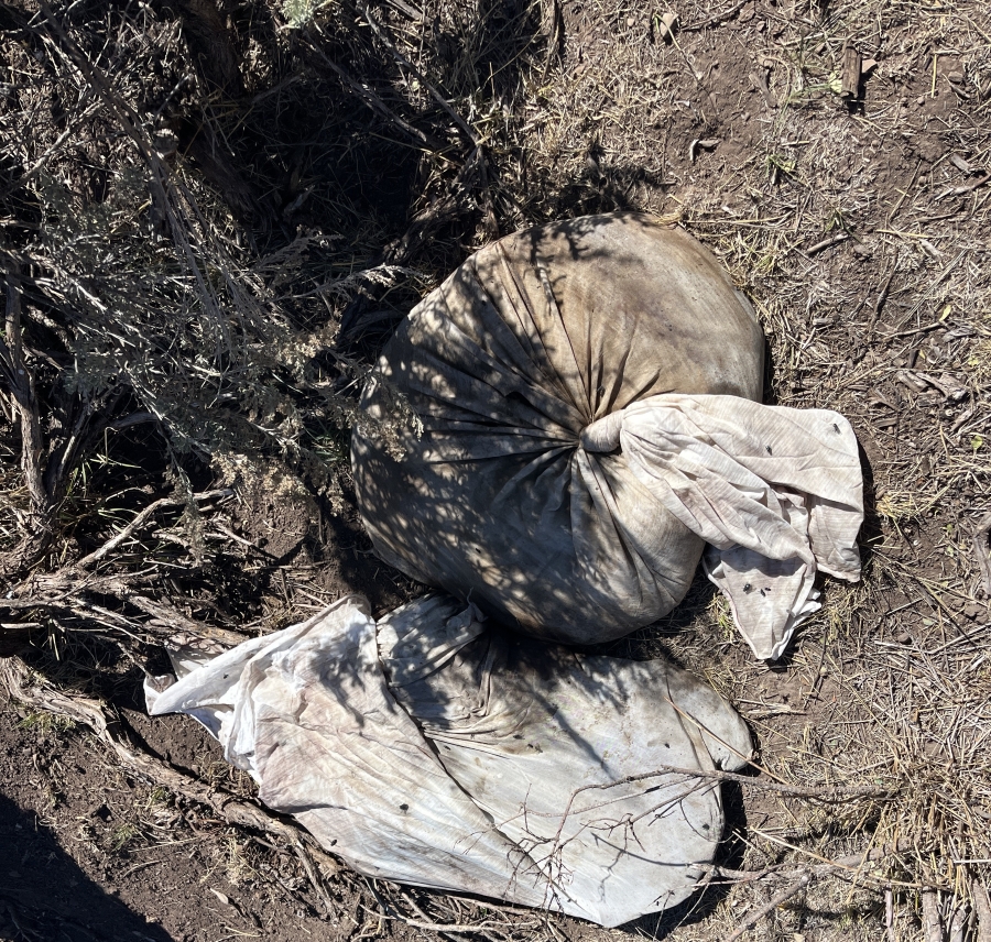 Fish and Game investigating elk meat dumped on roadside in Bear Lake County