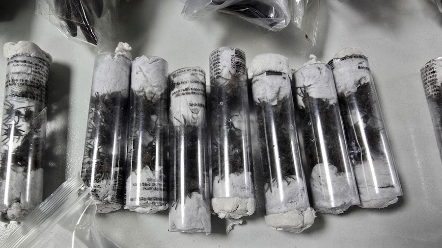 cnn L19jb21wb25lbnRzL2ltYWdlL2luc3RhbmNlcy9jbTNwd3NxY2kwMDBsMzU2bWt3bDI0YXRy L19jb21wb25lbnRzL2FydGljbGUvaW5zdGFuY2VzL2NtM3B3ZmNwcjAwMXQyYm53Y3BwaDh1ZjA