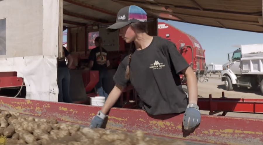 ‘All hands on deck.’ National news program features local farmers, workers in spud harvest story