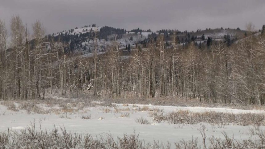 The Franklin Basin area near the Utah-Idaho border is pictured on Nov. 27, 2024. A 14-year-old boy was found safe Sunday morning after he was reported missing on Saturday. | Courtesy KSL TV