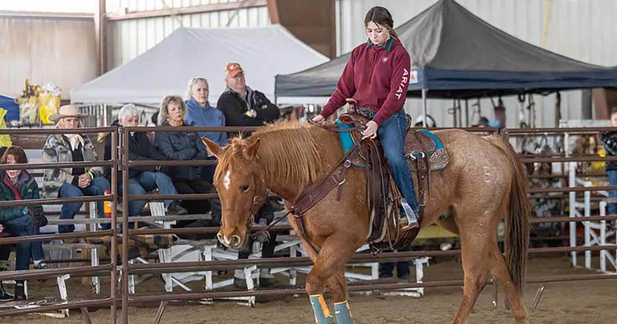 Experts giving live demonstrations at Teton Horse Experience