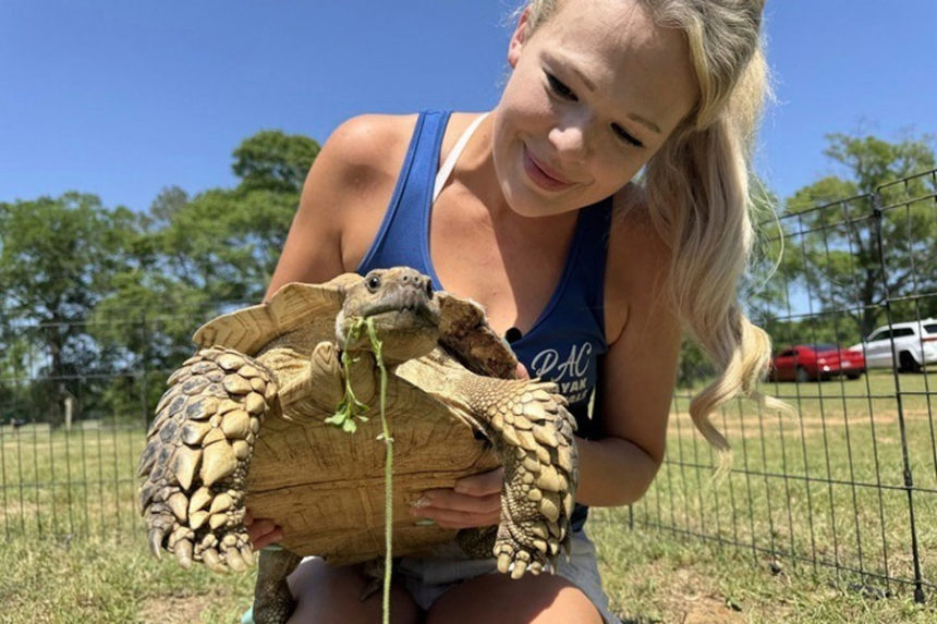 Tiffany Emanuel holds her pet tortoise, Myrtle, in Kokomo, Miss., on Thursday, April 15, 2025. | Sophie Bates, Associated Press