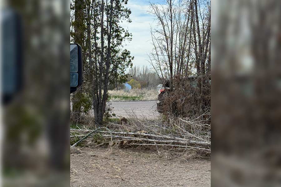 The car crashed through a fence and some trees as it entered the property.