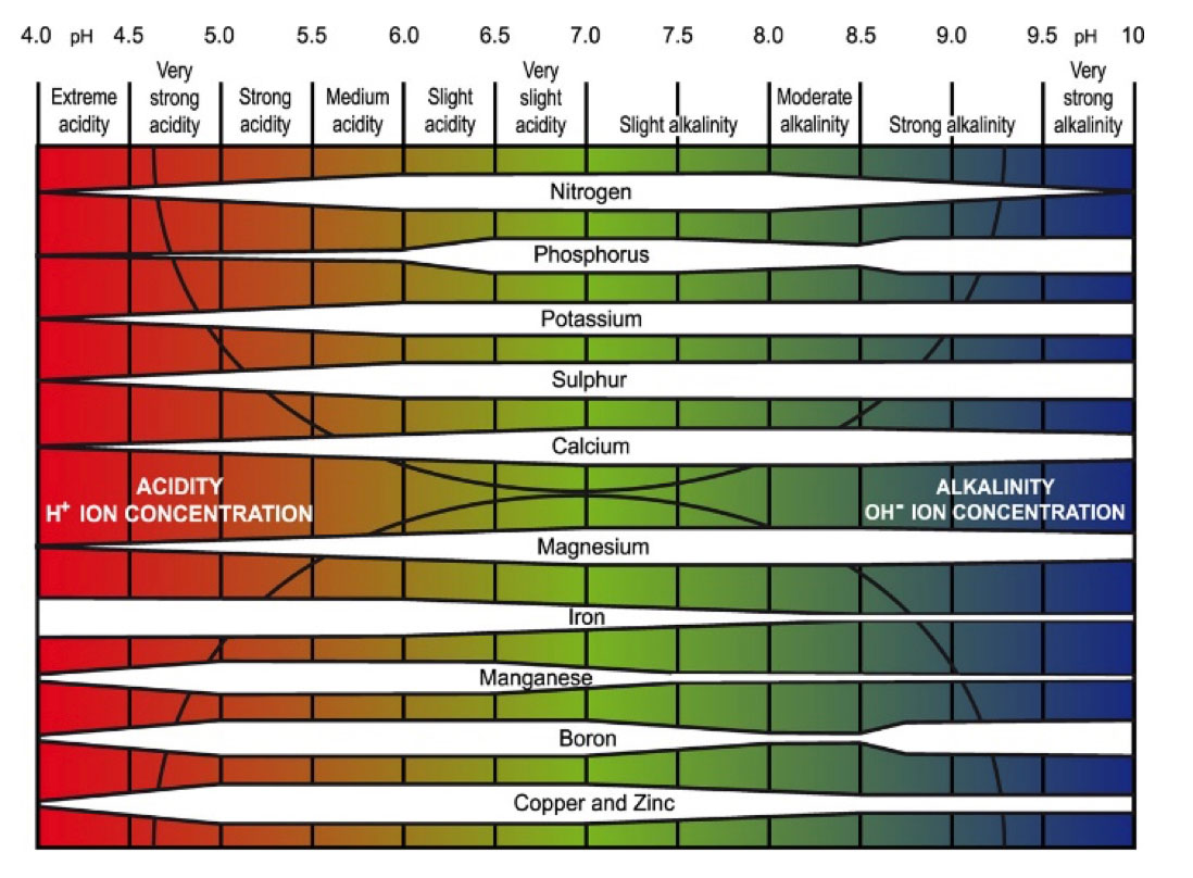 University of Idaho Extension