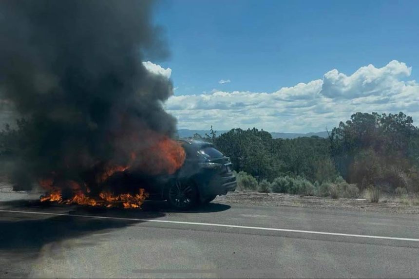 Vehicle fire between Idaho Falls and Blackfoot Sunday. | Courtesy Tara Duffin Pratt