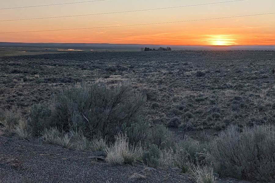 location of Cody Whiterock death