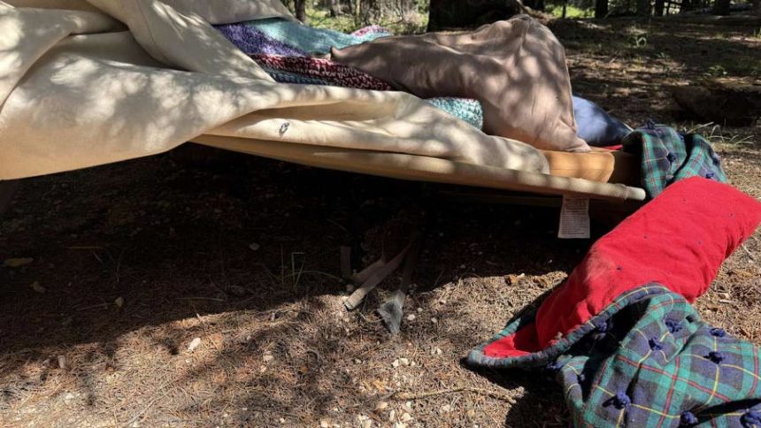 A man sleeping in a cot in Garfield County was treated Tuesday after being bitten on the arm by a black bear. State wildlife officials tracked down the bear on Wednesday and killed it. | Utah Division of Wildlife Resources