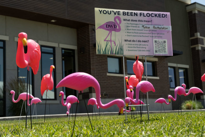 A group of flamingos outside of BBSI at the Snake River Landing | Daniel V. Ramirez, EastIdahoNews.com