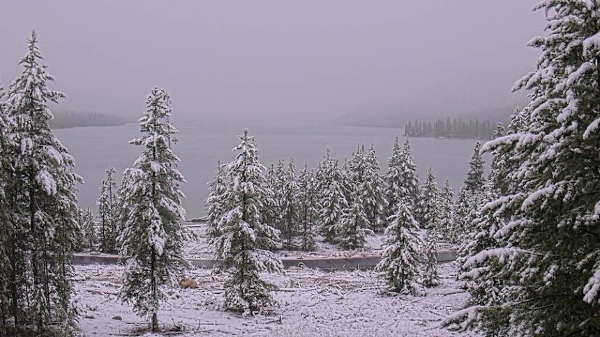 snow weather