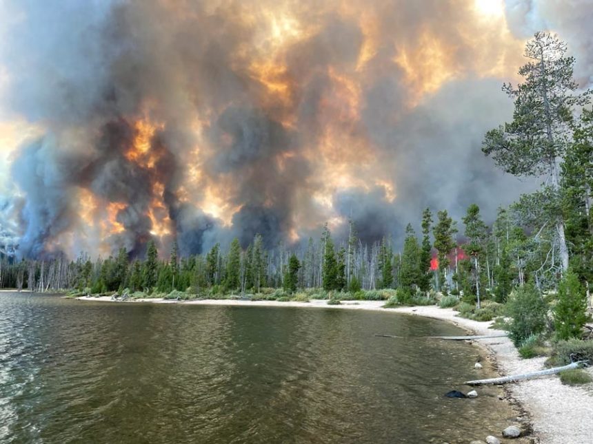 Spreading under what officials call “extreme behavior,” the over 35,000 acre Wapiti Fire burns past a tree line near Stanley Lake, in a photo taken Aug. 22. (Courtesy of Custer County Sheriff’s Office Facebook page)
