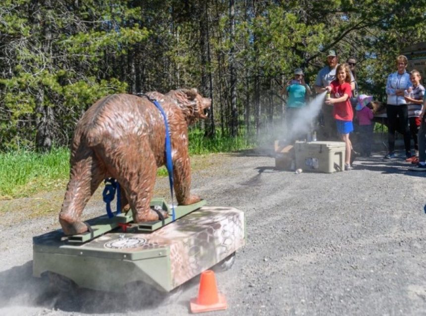 Fish and Game mechanical bear