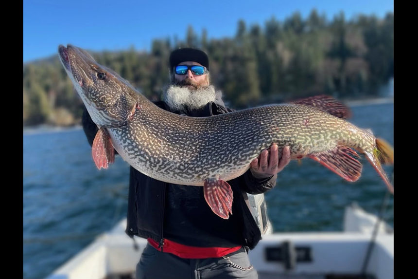 Record fish courtesy Idaho Fish and Game