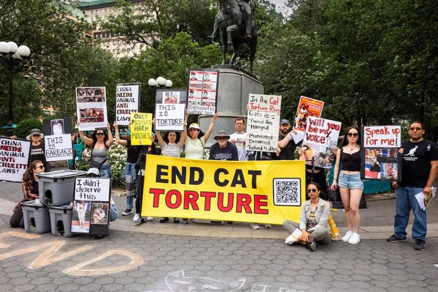 cnn L19jb21wb25lbnRzL2ltYWdlL2luc3RhbmNlcy9jbWI4dzVybTQwMDBuM2I2bnQ4aDJscnFv L19jb21wb25lbnRzL2FydGljbGUvaW5zdGFuY2VzL2NtOGVkZnVqdjAwM3cyY205MW4yNzdmODA