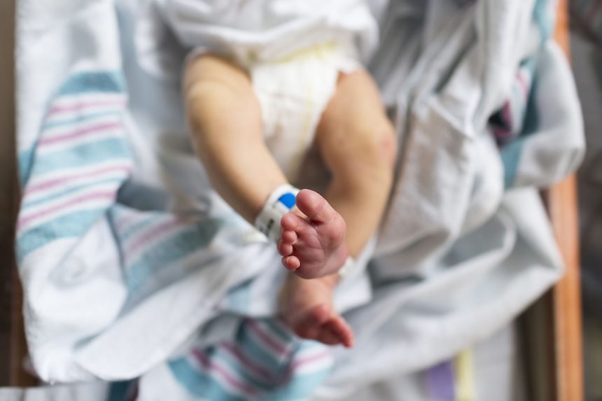 cnn L19jb21wb25lbnRzL2ltYWdlL2luc3RhbmNlcy9jbWJwbGJndHEwMDA0M2I2bTFxOTN4azNi L19jb21wb25lbnRzL2FydGljbGUvaW5zdGFuY2VzL2NtYnBqMTFqajAwOGsyN25yMGxtYmFhdjg