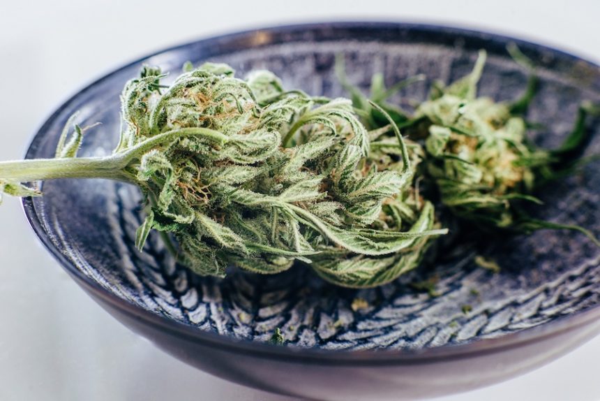 medical marijuana 2024 12 07 12 10 06 utc