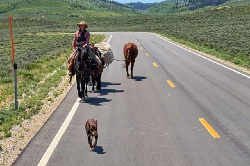 “You’re moving through a country which is this gorgeous, gorgeous place,” said Petrina, gently stroking the muzzle of one of her horses. “You just have a lot of time to appreciate everything.” Mandatory Credit: KSL TV via CNN Newsource