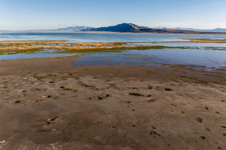 The shores of the Great Salt Lake near Syracuse, with Antelope Island in the background, are pictured on Tuesday, May 21, 2024. | Spenser Heaps, Utah News Dispatch
