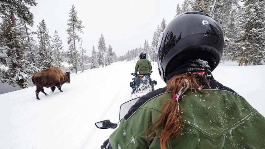 Yellowstone snowmobile