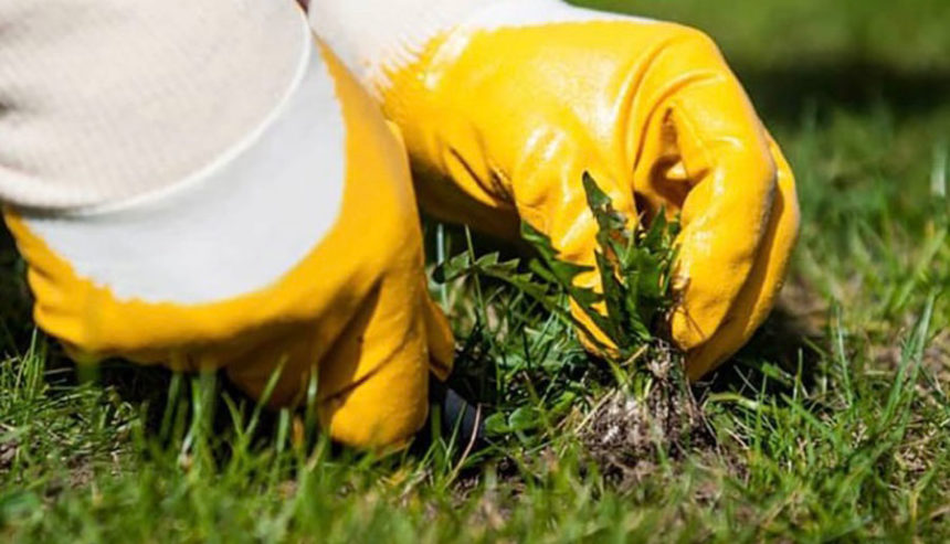 Anthony Simerlink, University of Idaho Extension