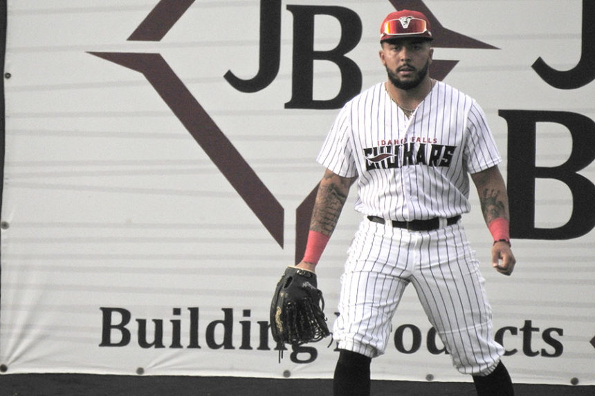 Idaho Falls Chukars, Eddie Pelc