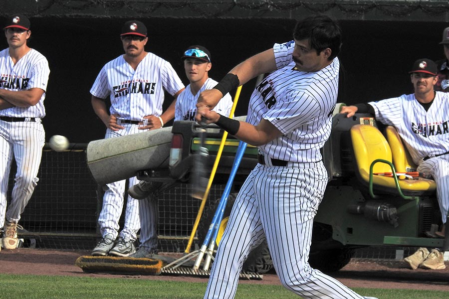 Chukars, Gabriel Vasquez