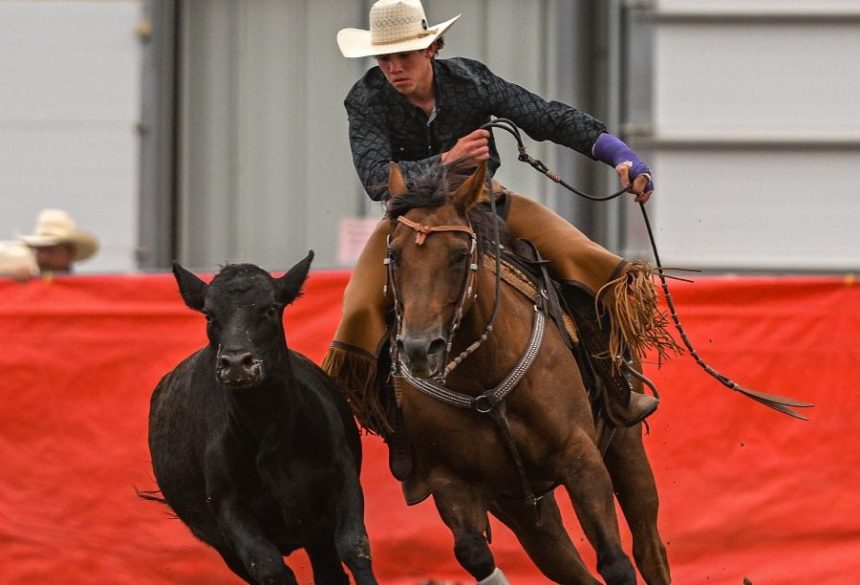 Wade Williams cowboy