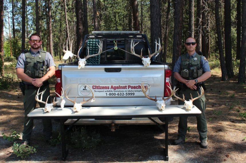 fish game north Idaho