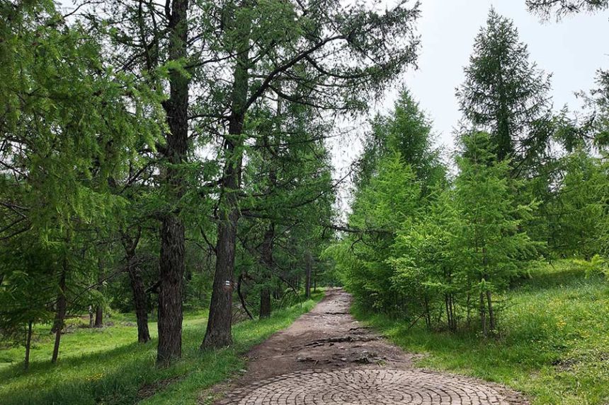 Today, entering Bogd Khan Uul, which was recognized as a UNESCO biosphere reserve in 1996, banishes the memory of the crowds and pollution of the capital. Mandatory Credit: Lilit Marcus/CNN via CNN Newsource