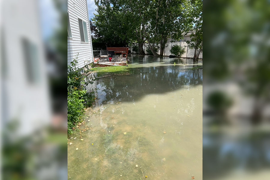 Parkin's backyard on Thursday.